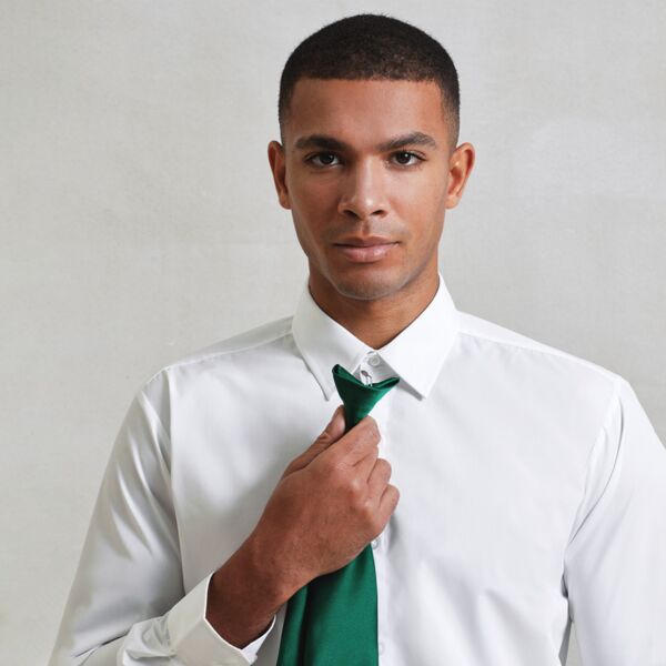 PR755 'Colours' satin clip tie Thumbnail